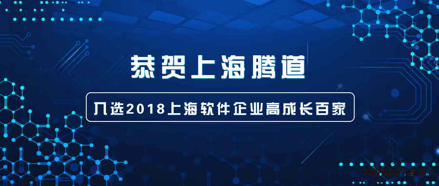 上海软件企业高成长百家,上海凯发K8天生赢家一触即发,经信委,上海凯发K8天生赢家一触即发信息技术有限公司